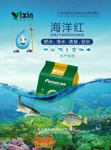 em菌对鱼塘水质改善EM菌种在哪里能买到EM菌种多少钱图片