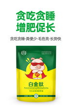 育肥猪催肥饲料添加剂猪长势快选用好产品肥猪催肥剂图片