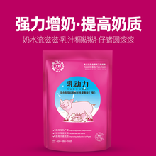 母猪奶水多母猪快速下奶母猪产后没有奶水图片