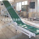 顆粒稱重包裝線-化肥碼垛包裝線-洗化用品裝箱線
