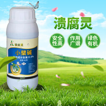 柑橘青苔防治办法植物源农药溃腐灵大蒜油使用方法