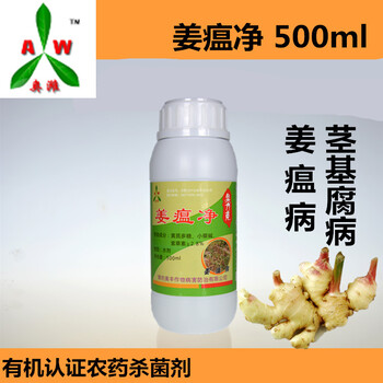 生姜姜瘟病發(fā)病規(guī)律及防治方法生物農(nóng)藥姜瘟凈打造綠色生態(tài)農(nóng)業(yè)