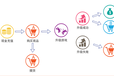 撸起袖子加油干狗年新财富商机软件项目升级商城定制开发