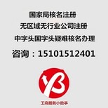 国字开头公司名称办理图片1