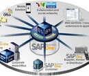 注塑行业ERP系统注塑ERP管理软件就选SAP系统长沙达策图片