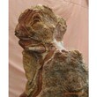 陕西安康古董天然猴子奇石在哪鉴定拍卖靠谱图片