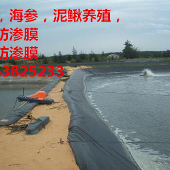 新闻联播：海东储水池防渗膜型号海北藏族自治州废水池防渗膜