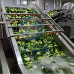 佳品销售蔬菜清洗机多功能大型洗菜机果蔬清洗加工设备