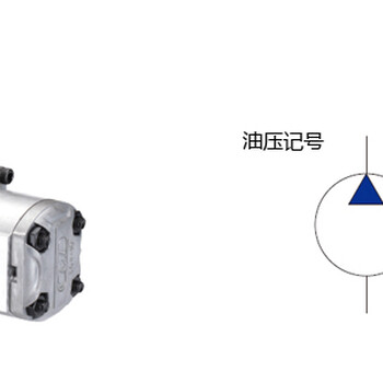 全懋CML齿轮油泵,IGH-6F-125-R21供应现货-亿稳盛机电