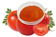 喷雾干燥番茄粉AD/FD番茄粉，番茄粉生产厂家，香辛料生产厂家