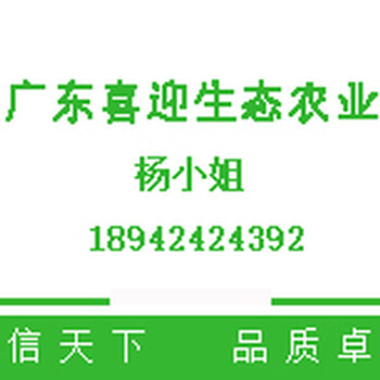 谁收珍珠鸡毛珍珠鸡收购养500只珍珠鸡一年利润