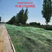 六針蓋土網廠家直銷土方裸土覆蓋網防塵綠網免費寄樣品