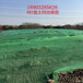 裸土覆盖网盖土网防尘绿网厂家直销可以寄样品
