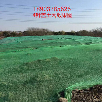 裸土覆盖网盖土网防尘绿网厂家可以寄样品