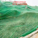 蓋土網廠家直銷施工工地土方覆蓋網苫蓋綠網免費寄樣品