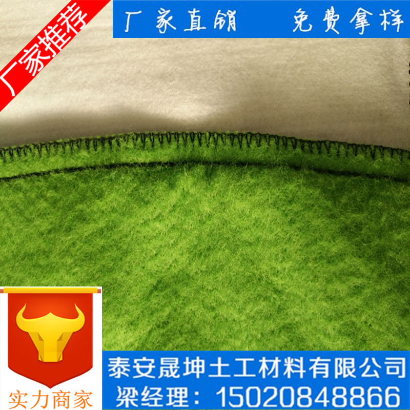 黑龙江省齐齐哈尔市土工袋生态袋价格便宜使用年限长晟坤土工