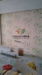 广州家庭液体墙纸、酒店液体墙纸、展厅液体墙纸、服装店液体墙纸施工图片3
