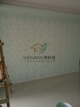 广州家庭液体墙纸、酒店液体墙纸、展厅液体墙纸、服装店液体墙纸施工图片4