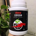 根结线虫专用药大棚蔬菜中药材果树经济作物，淡紫紫孢菌