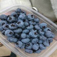 1559817174007387000-1.jpg@1e_1c_220w_220h_90Q.jpg