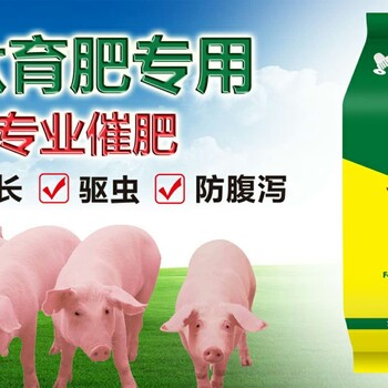 猪催肥简单方法猪怎么喂长得快猪催肥饲料添加剂