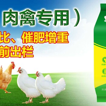 肉鸡快速增肥药肉鸡吃什么长得快鸡快速出栏添加剂