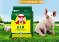 育肥猪怎么催肥生猪快速催肥方法白金肽猪催肥添加剂