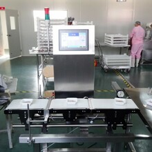 安衡在线称重剔除机ACW-600g
