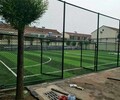 山东足球场围网可以根据图纸定做球场围网