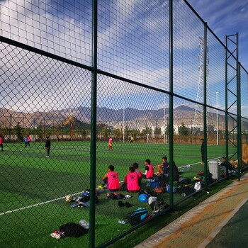 温州足球场围网表面处理方式体育场围网