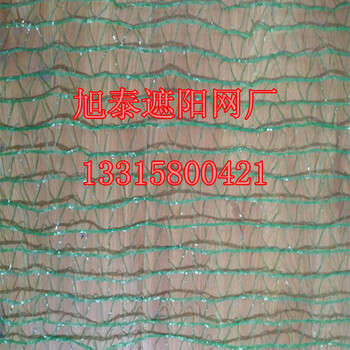 蓋土網(wǎng)廠家銷售2針蓋土網(wǎng)扁絲蓋土網(wǎng)塑料蓋土網(wǎng)