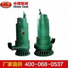 BQS15-45-5.5/N防爆潜水泵,BQS15-45-5.5/N防爆潜水泵价格优惠提供图片
