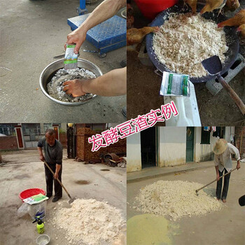 宜賓發(fā)酵1噸酒糟需要多少發(fā)孝菌