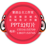 PPT幻灯片制作公司价格案例报价图片5