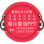 PPT幻灯片代做公司价格案例报价图片3