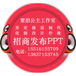 PPT幻灯片代做公司价格案例报价图片2