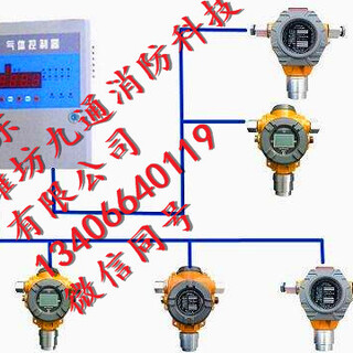 济南有毒有害气体探测器商河销售厂家图片6