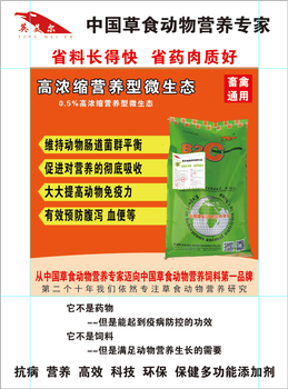 鹅饲料预混料+英美尔0.5%高浓缩营养型微生态+省药省料+强化吸收+肉鹅养殖