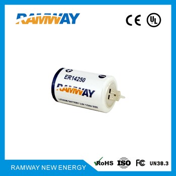 广西睿奕锂亚电池3.6V1/2AAER14250电表/ETC