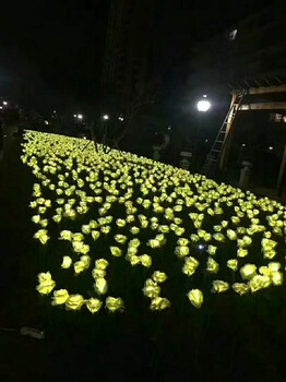 柳州梦幻灯光节全国出售