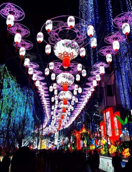 燈光節(jié)廠家供應(yīng)夢幻燈光節(jié)道具
