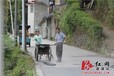 深圳建筑工程培训龙岗土建造价员软件实操班