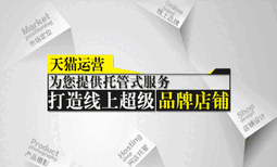 合肥麦克尔电商合肥电商代运营网店代运营行业图片0