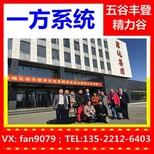 五谷膳粮代理_河南鹤壁雍达精力谷一方系统图片4