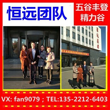 广东云浮雍达精力谷团队邀你加入五谷杂粮代餐粉代理