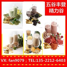 五谷雜糧營養(yǎng)粉代理_福建泉州雍達(dá)精力谷恒遠(yuǎn)團(tuán)隊圖片