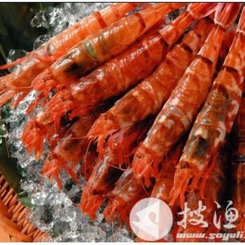 天津进口阿根廷红虾报关需要注意什么事项