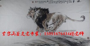 龙游县哪里可以鉴定交易古董字画图片5