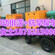 农业抗旱移动泵车