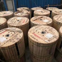 阿坝小金县回收288芯GYDTA光缆回收GYTS288芯金属光缆图片